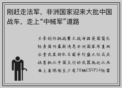 刚赶走法军，非洲国家迎来大批中国战车，走上“中械军”道路